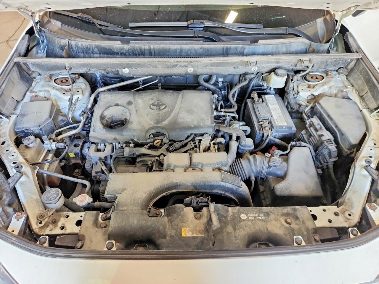 2019 Toyota Rav4 Xle Белый vin: 2T3P1RFVXKW034691