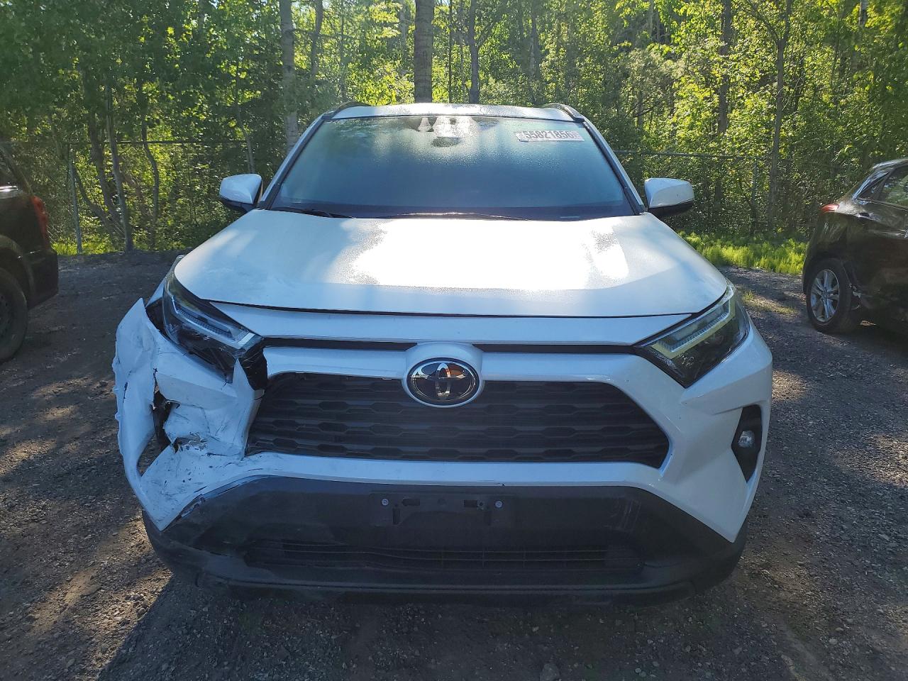 2024 Toyota Rav4 Xle White vin: 2T3R1RFV2RW456750