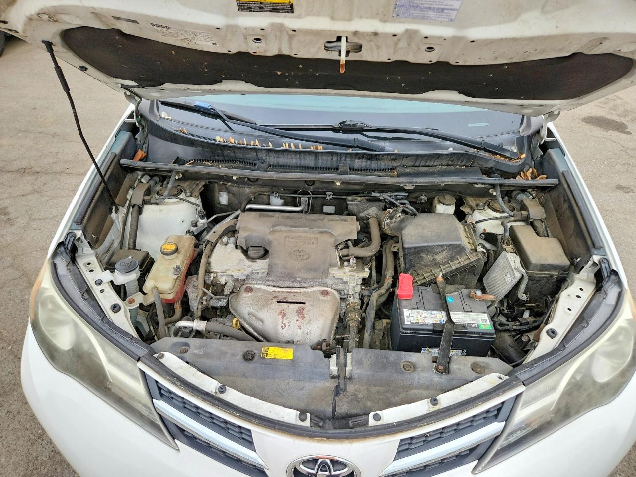 2013 Toyota Rav4 Xle White vin: 2T3RFREV0DW101555