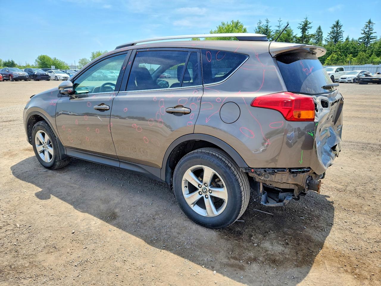 2015 Toyota Rav4 Xle Tan vin: 2T3RFREV0FW383991