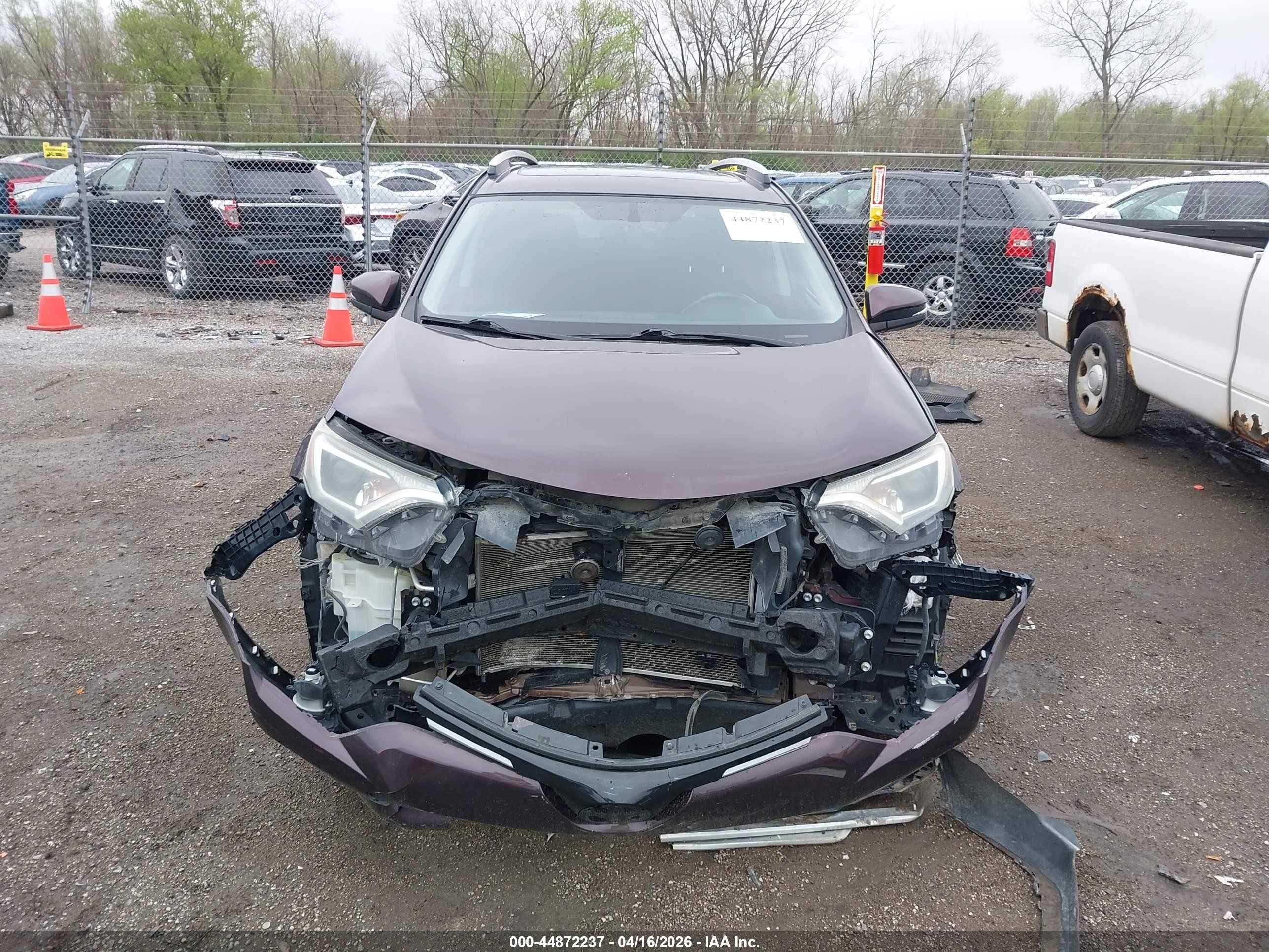 2016 Toyota Rav4 Xle Maroon vin: 2T3RFREV0GW510384