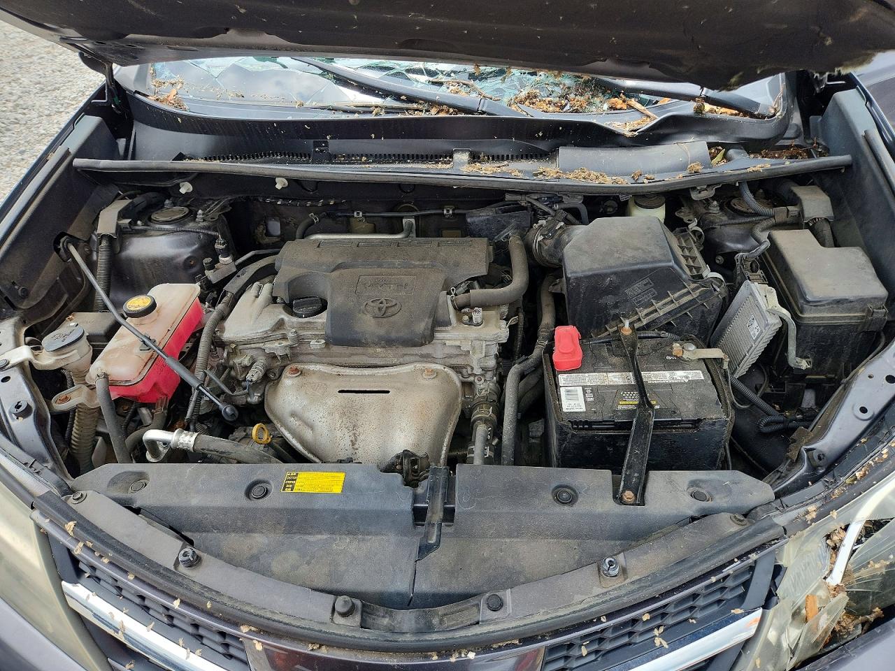 2015 Toyota Rav4 Xle Серый vin: 2T3RFREV1FW256277
