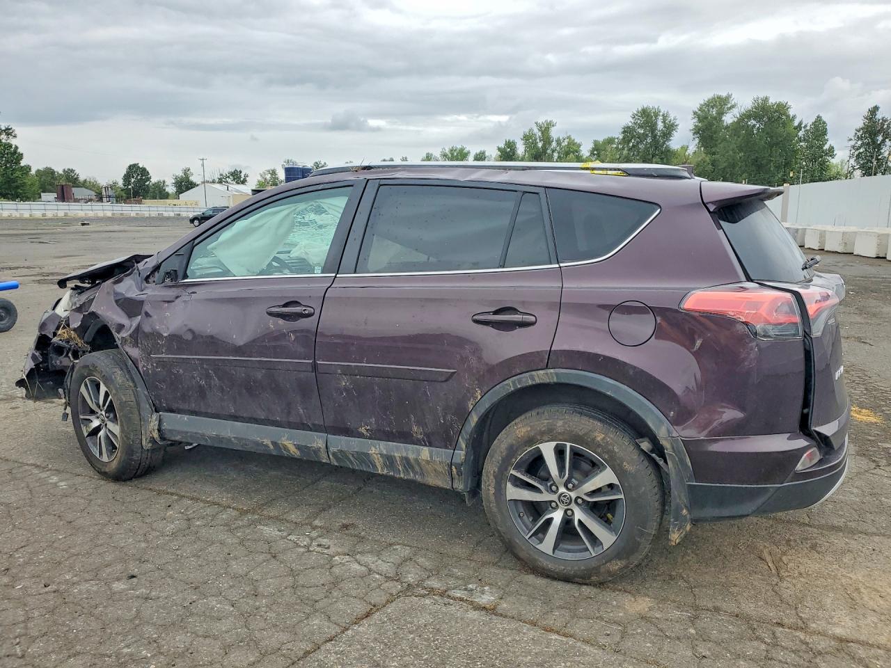 2016 Toyota Rav4 Xle Purple vin: 2T3RFREV2GW435901