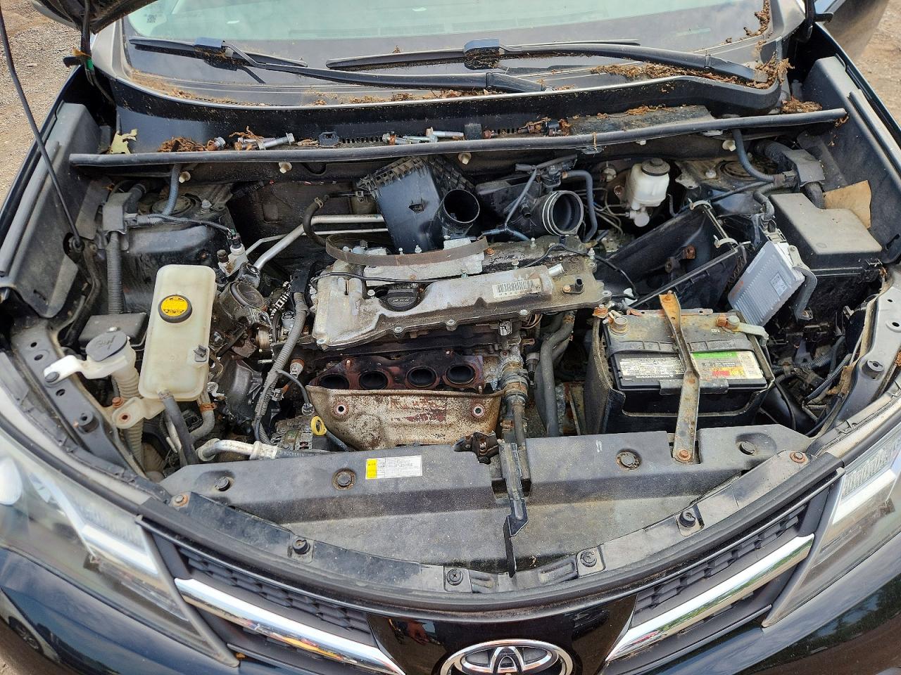 2013 Toyota Rav4 Xle Black vin: 2T3RFREV3DW113764