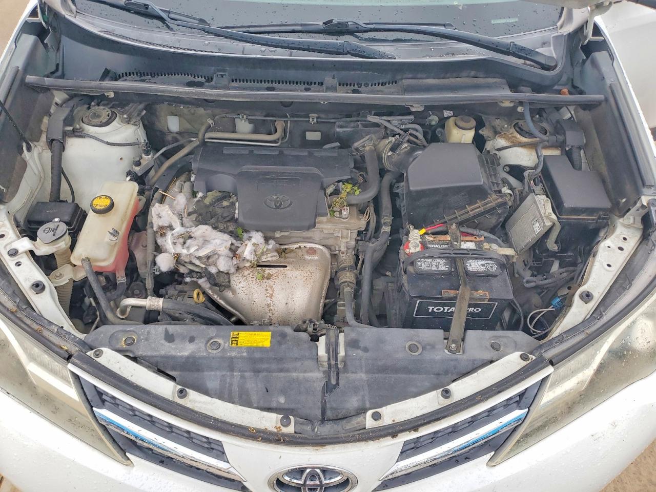 2015 Toyota Rav4 Xle White vin: 2T3RFREVXFW378670