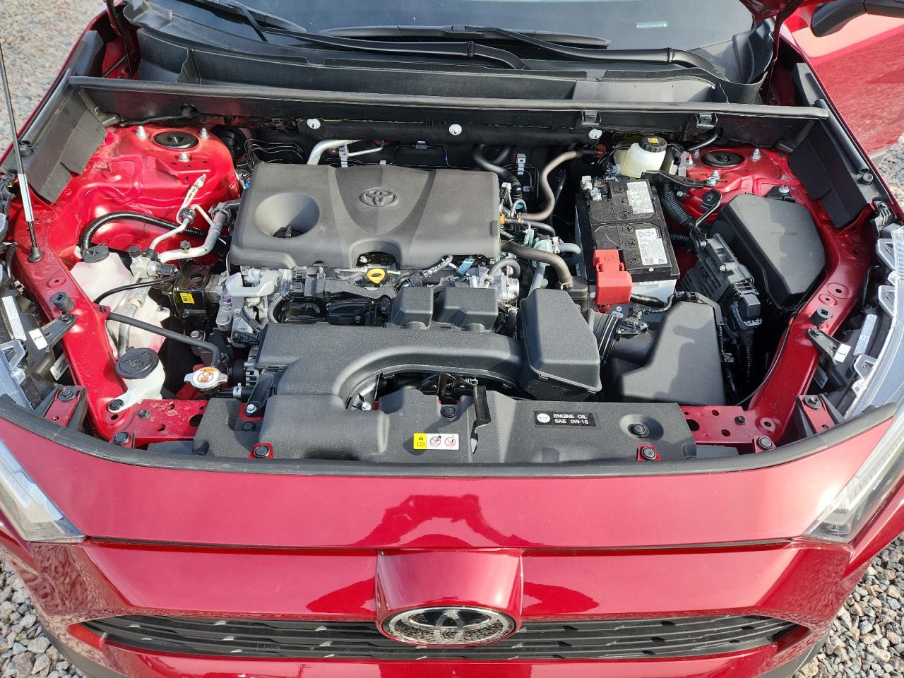 2025 Toyota Rav4 Xle Red vin: 2T3W1RFV1SW435302