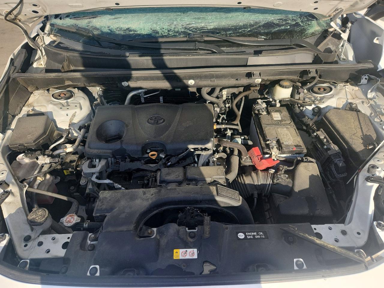2021 Toyota Rav4 Xle White vin: 2T3W1RFV2MW116431