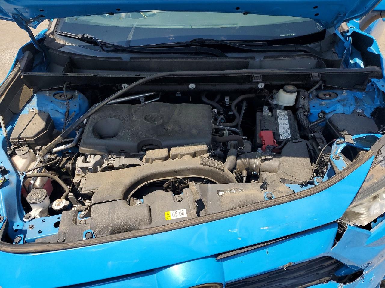 2019 Toyota Rav4 Xle Turquoise vin: 2T3W1RFV3KW007442