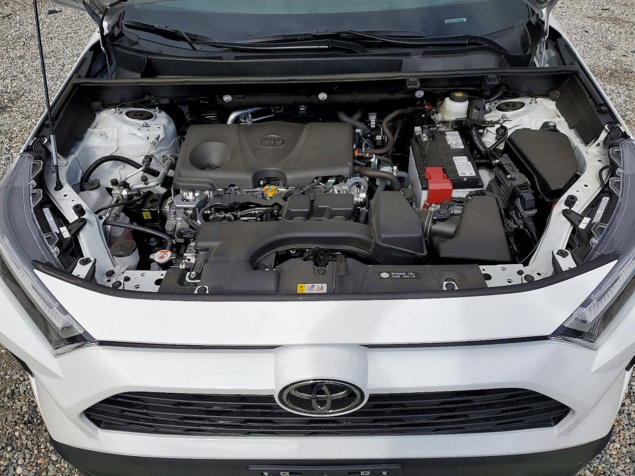 2025 Toyota Rav4 Xle Белый vin: 2T3W1RFV8SW442411