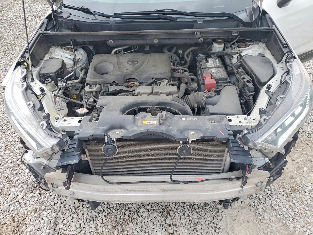2020 Toyota Rav4 Xle Белый vin: 2T3W1RFV9LC041534