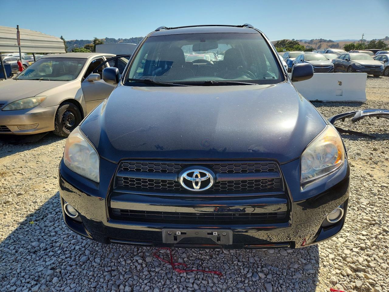 2010 Toyota Rav4 Sport Black vin: 2T3WF4DV8AW028275