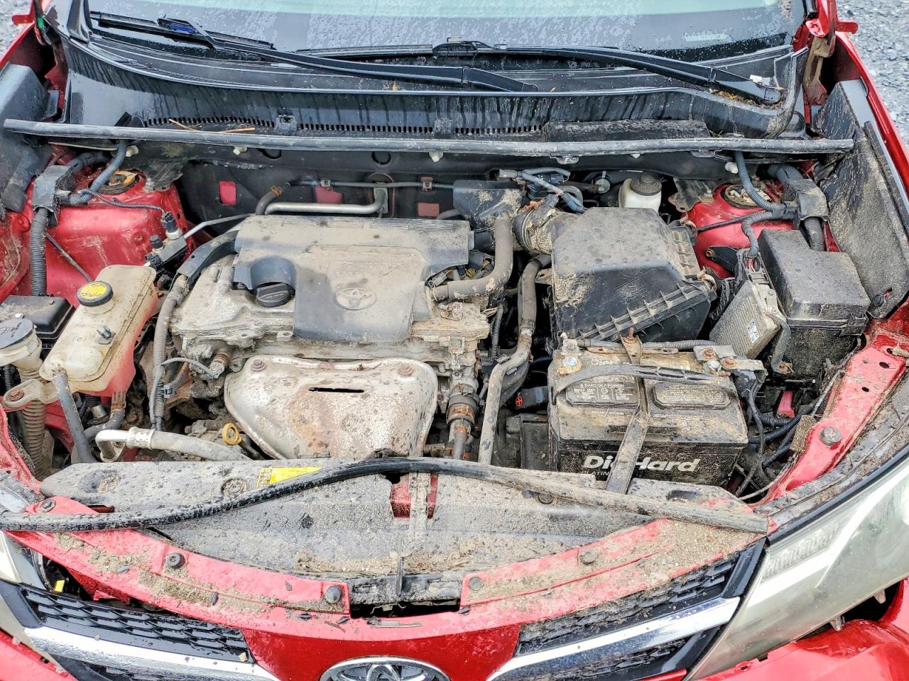 2013 Toyota Rav4 Xle Burgundy vin: 2T3WFREV0DW033468