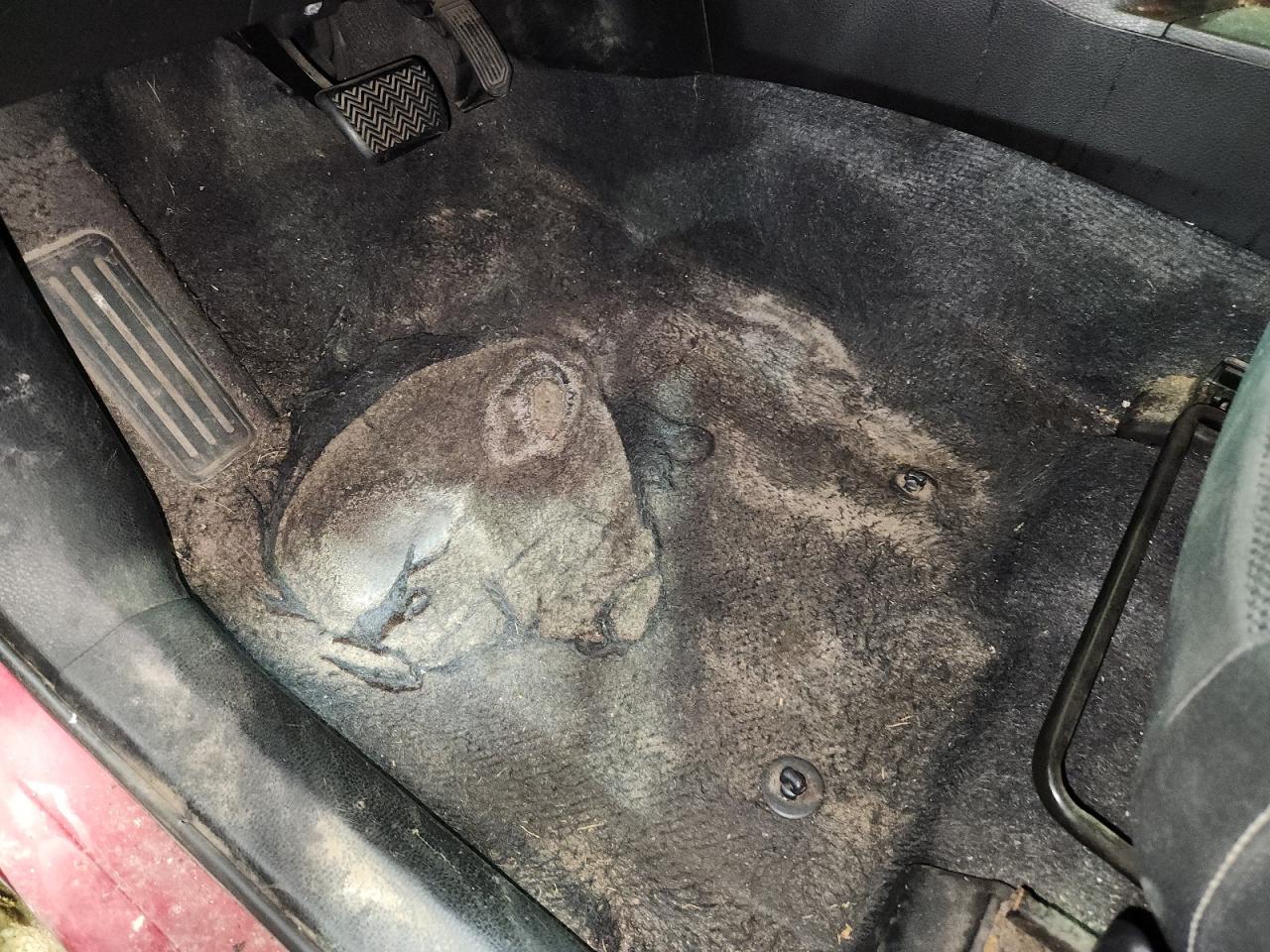 2018 Toyota Rav4 Xle Maroon vin: 2T3WFREV2JW474918 Damage: Left Front Carpet, Torn, > 12 Inches