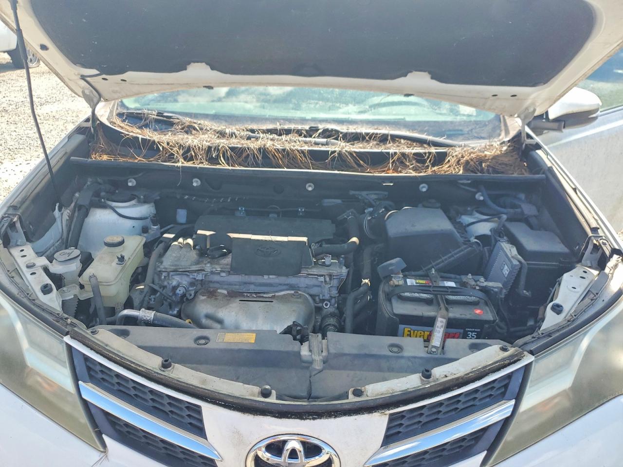 2014 Toyota Rav4 Xle Белый vin: 2T3WFREV3EW086246