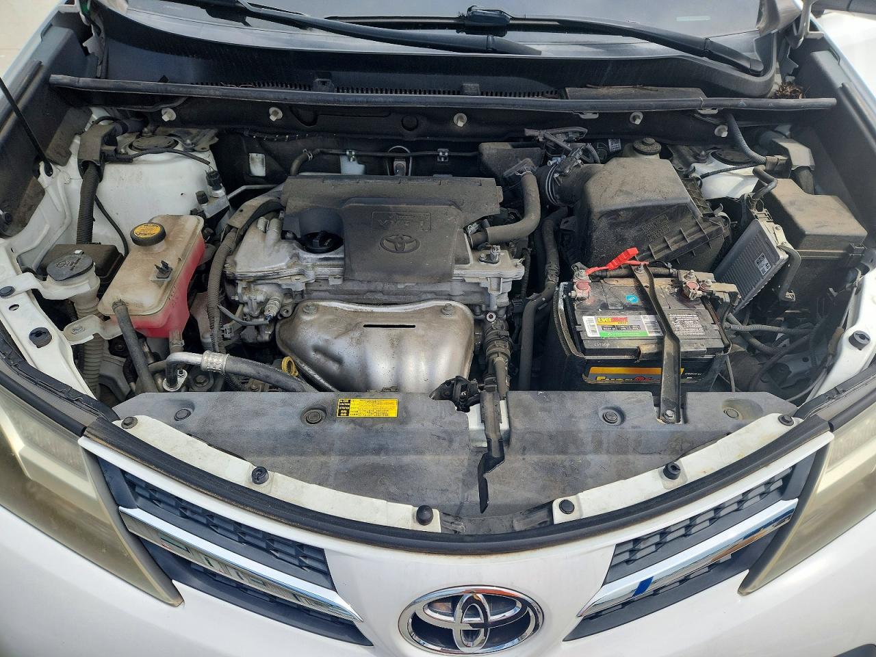 2015 Toyota Rav4 Xle White vin: 2T3WFREV8FW166837