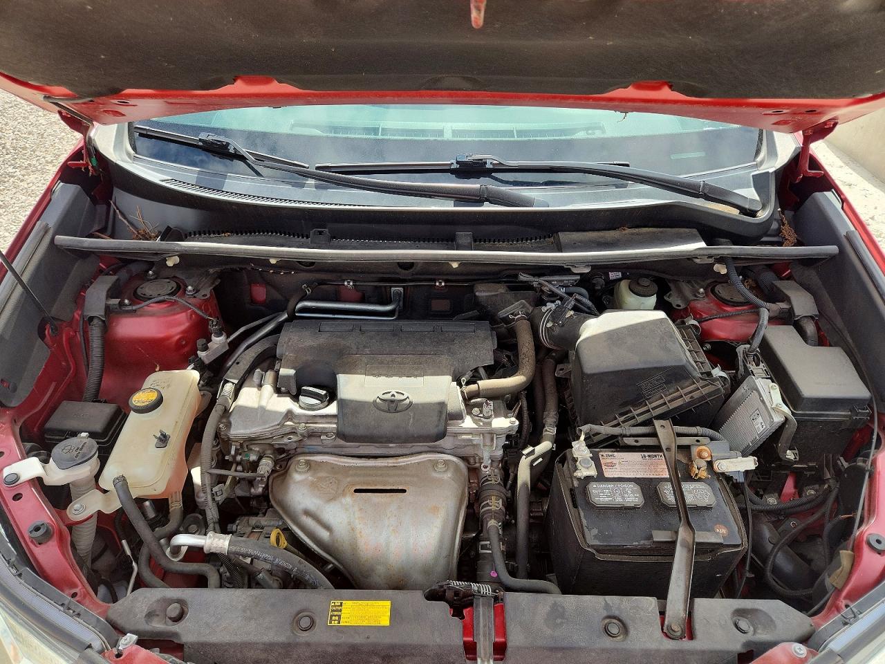 2015 Toyota Rav 4 Red vin: 2T3YFREV5FW164925