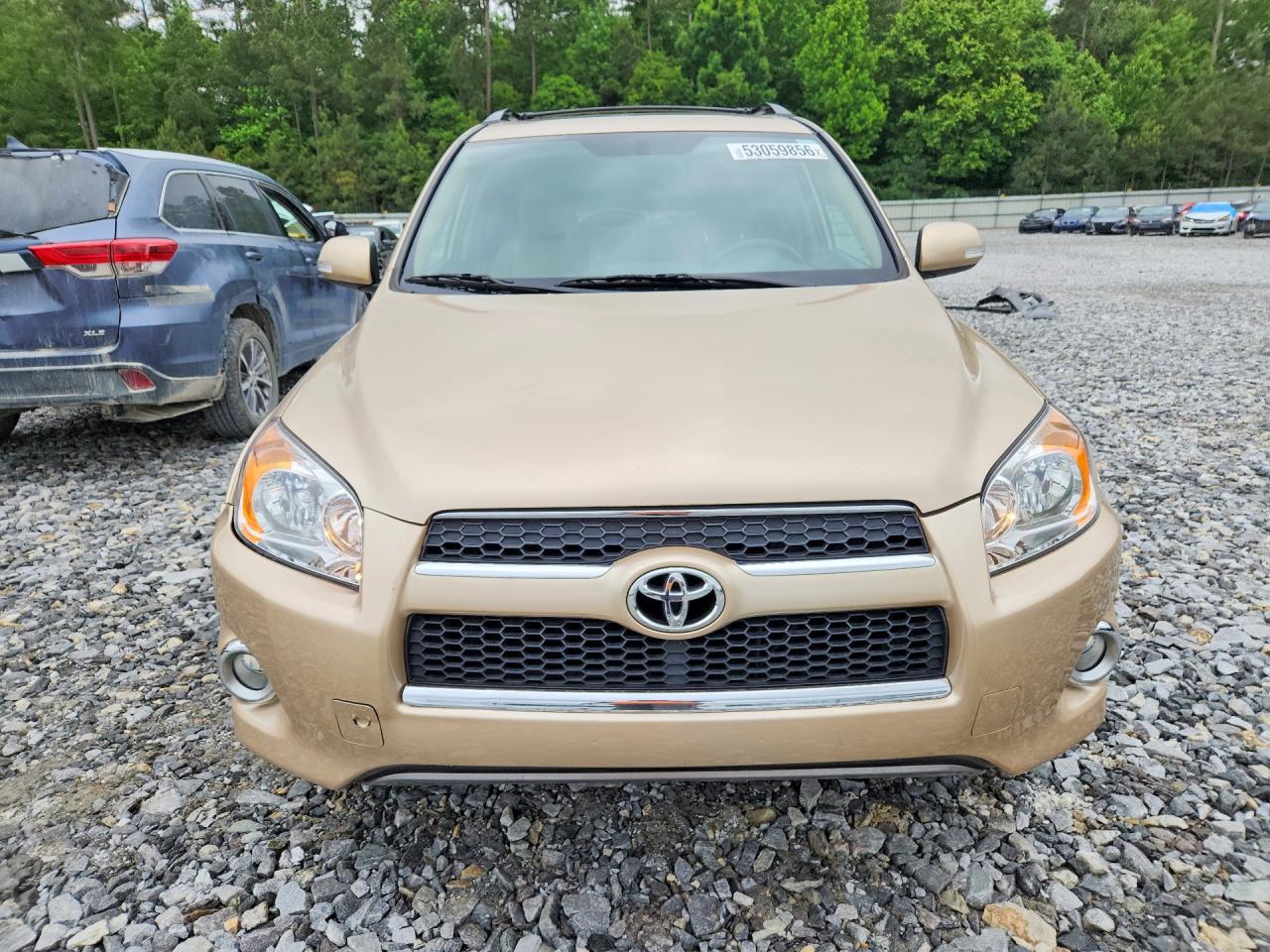 2009 Toyota Rav4 Limited Tan vin: 2T3ZF31V89W013086