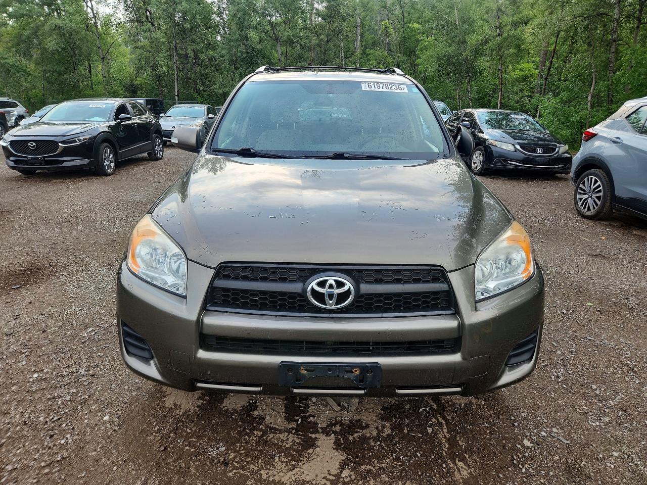 2011 Toyota Rav4 Base Коричневый vin: 2T3ZF4DV4BW060168