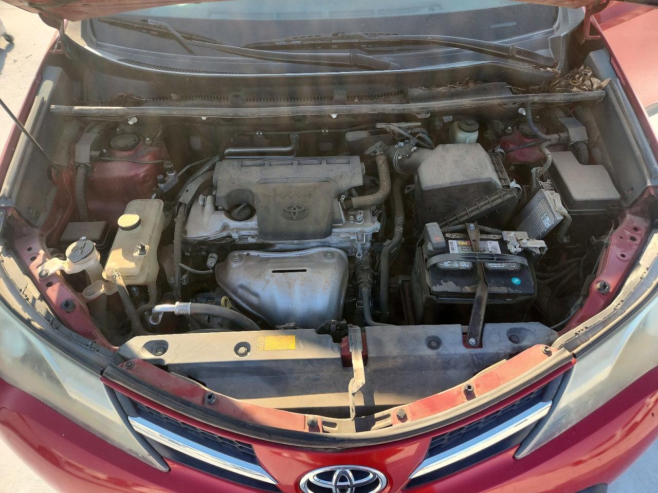 2014 Toyota Rav4 Le Red vin: 2T3ZFREV7EW117057