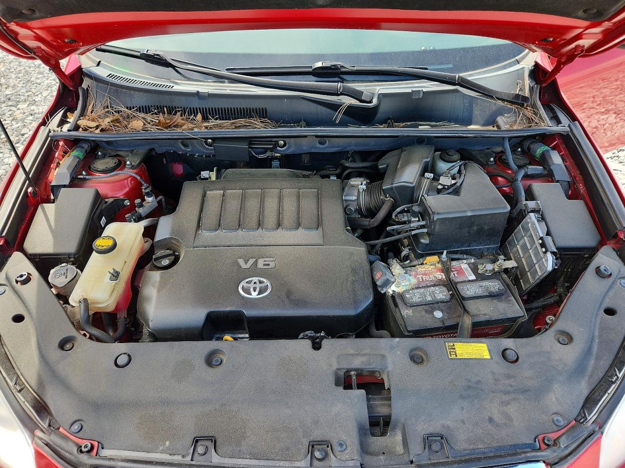 2009 Toyota Rav4 Limited Red vin: 2T3ZK31V29W002919
