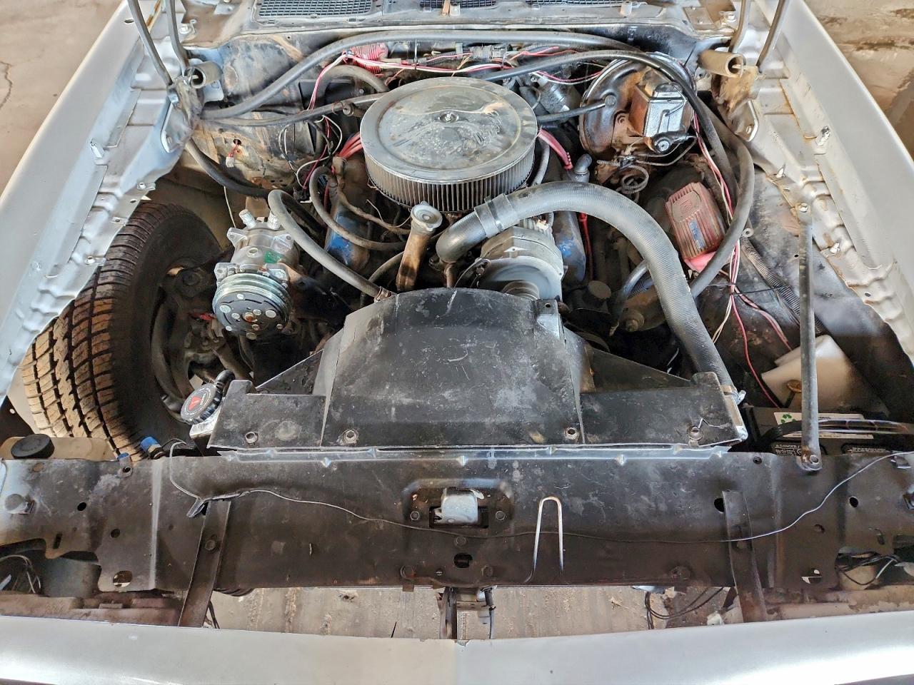 1978 Pontiac Firebird White vin: 2U87K8L123817