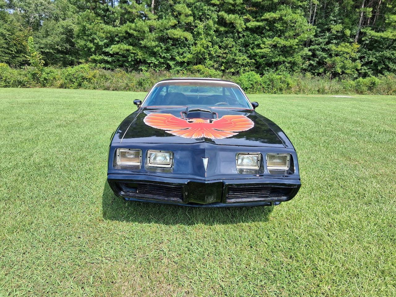 1979 Pontiac Trans Am Black vin: 2W87K9L180429