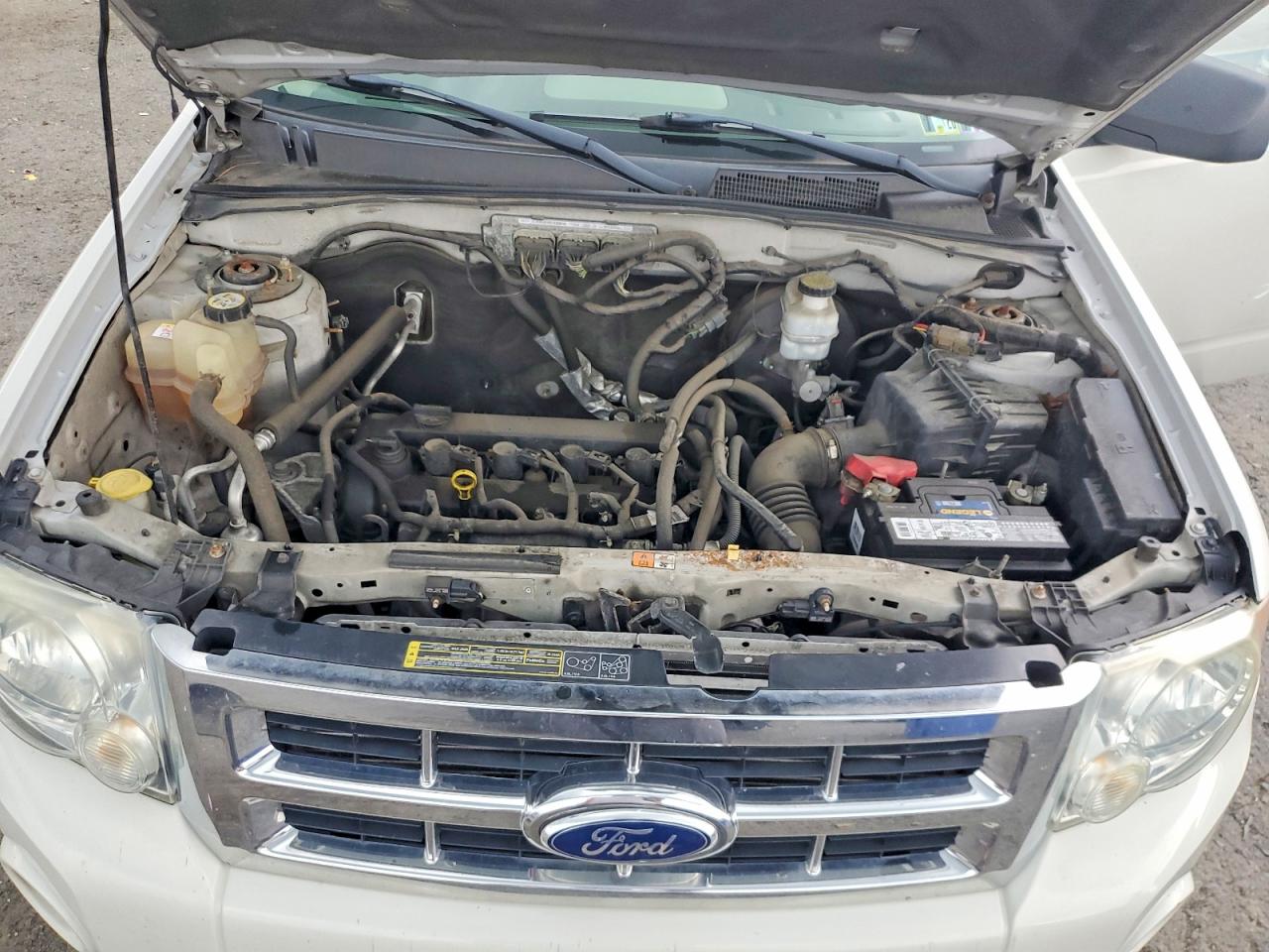 2010 Ford Escape Xlt White vin: 1FMCU9D72AKC67221