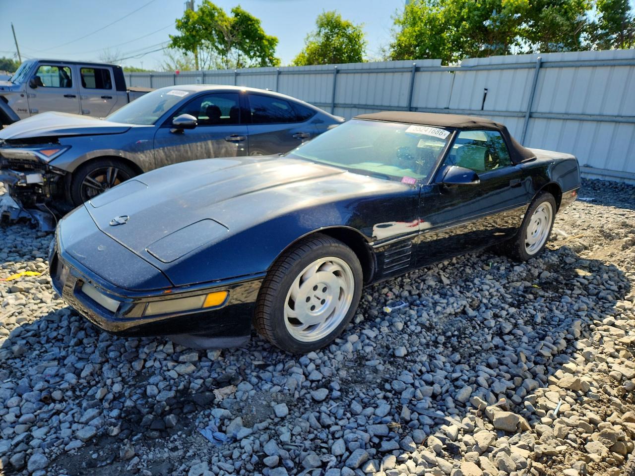 1992 Chevrolet Corvette Black vin: 1G1YY33P4N5109506