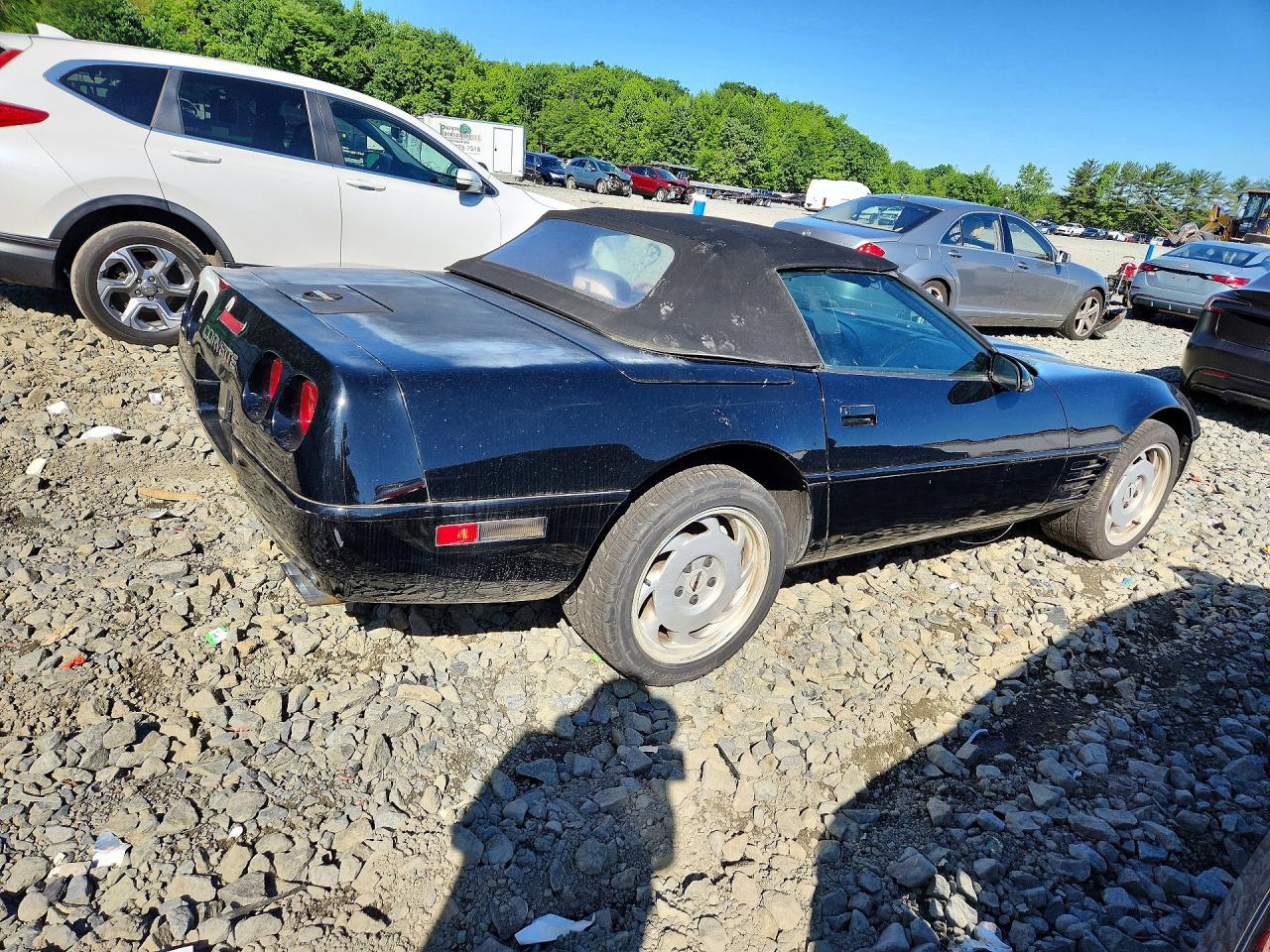 1992 Chevrolet Corvette Black vin: 1G1YY33P4N5109506