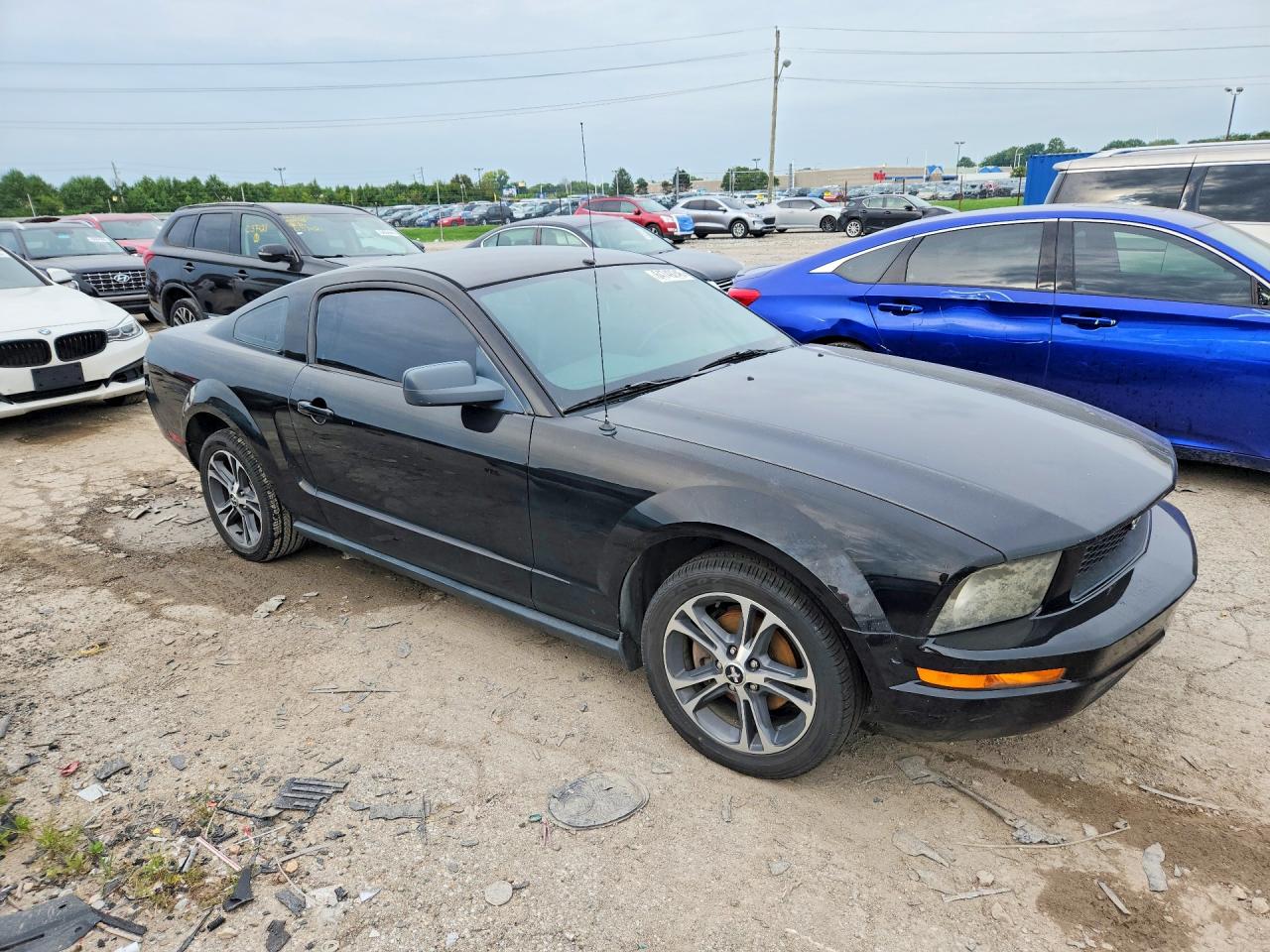 2007 Ford Mustang Black vin: 1ZVFT80N875270938