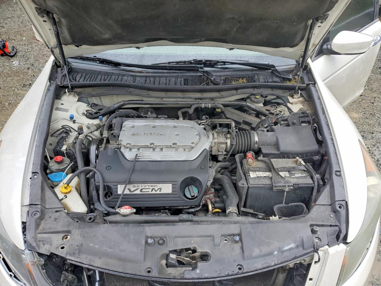 2008 Honda Accord Exl Белый vin: 1HGCP36818A058536
