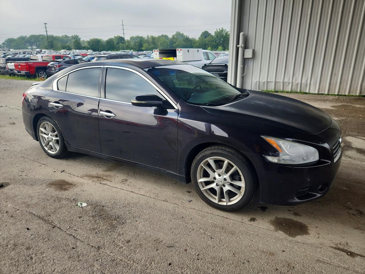 2010 Nissan Maxima 3.5 S Black vin: 1N4AA5APXAC812017
