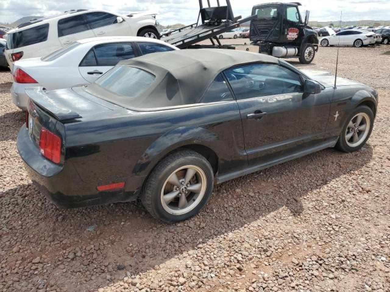 2006 Ford Mustang Black vin: 1ZVFT84N065125479
