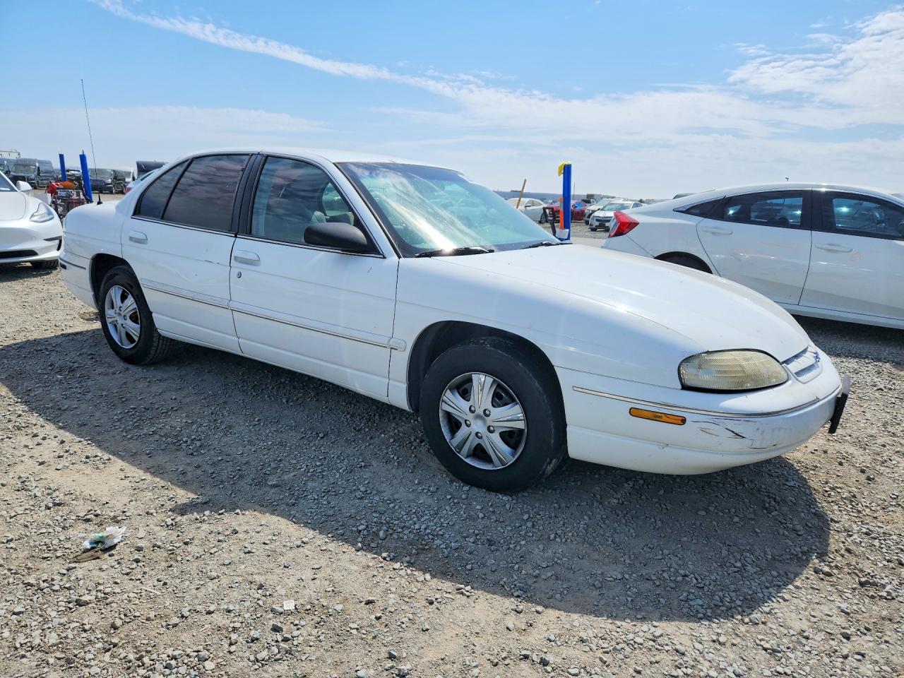 1999 Chevrolet Lumina Base White vin: 2G1WL52M5X9187663