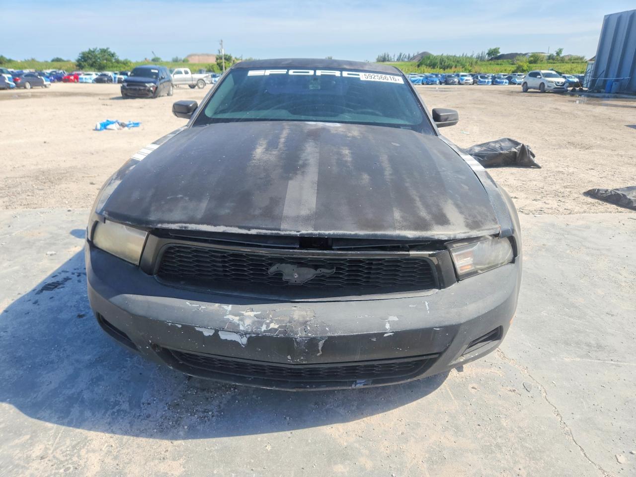 2010 Ford Mustang Black vin: 1ZVBP8AN3A5143636