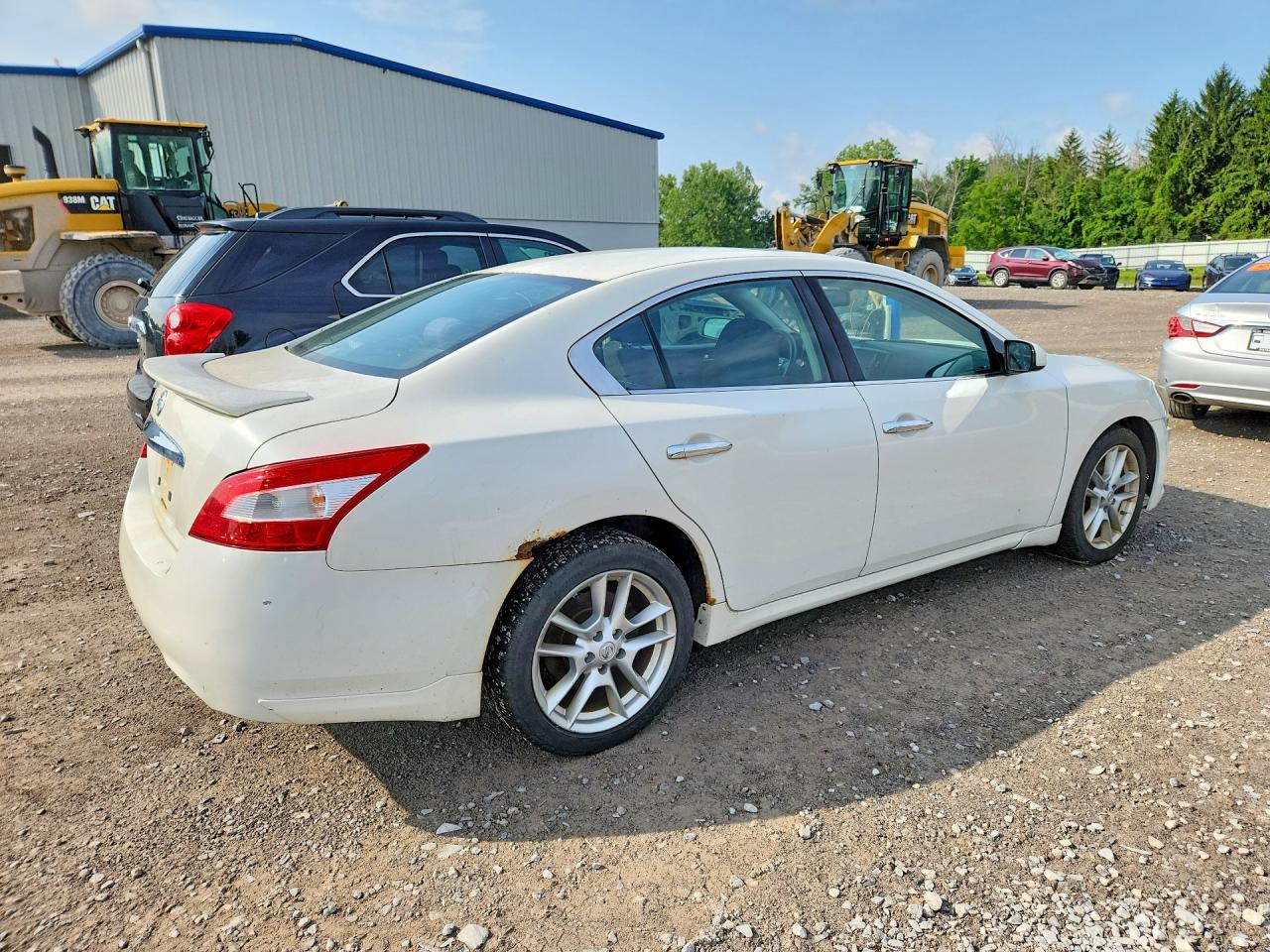 2009 Nissan Maxima 3.5 S White vin: 1N4AA51E29C829954