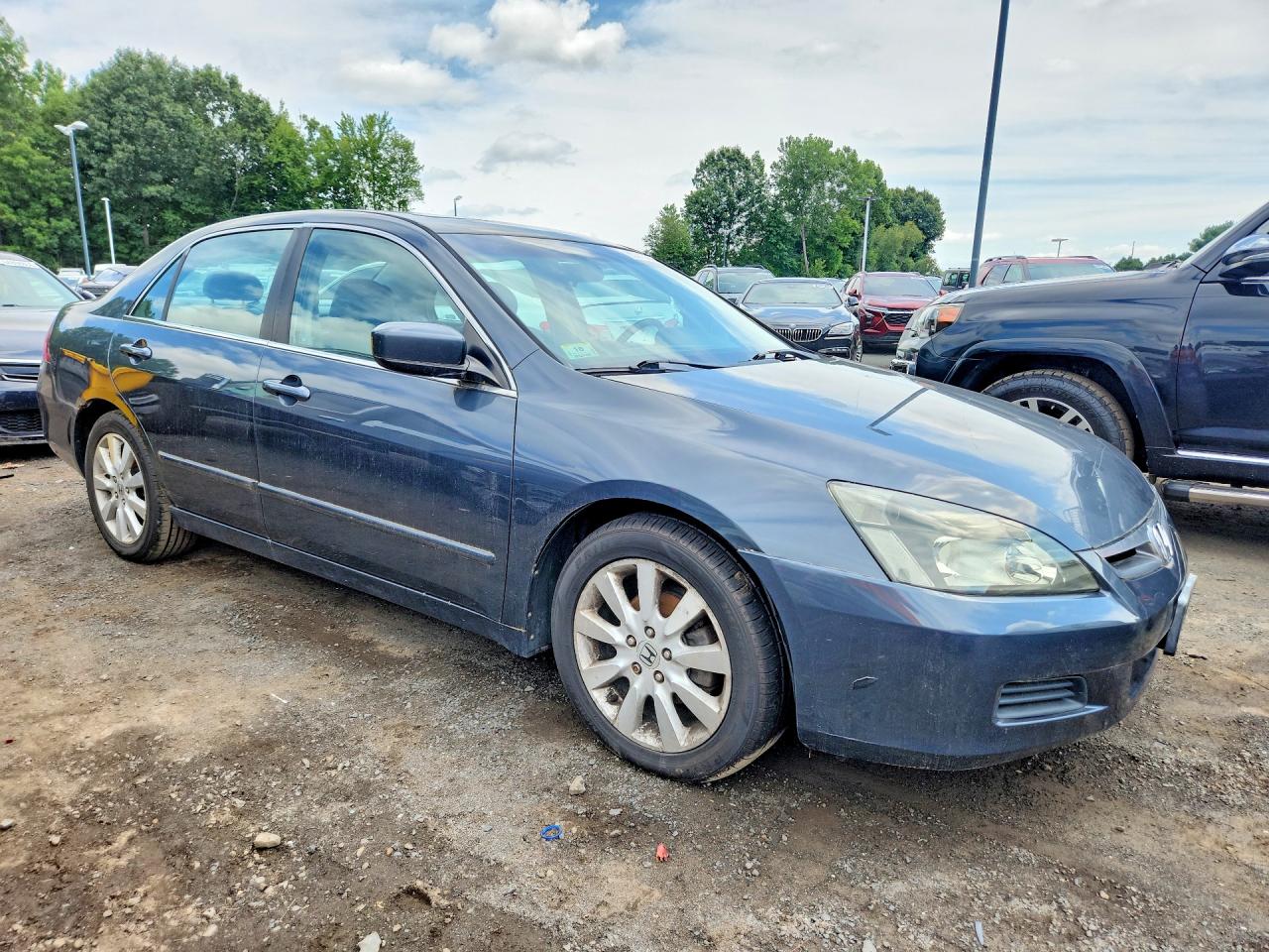 2007 Honda Accord Ex Gray vin: 1HGCM66567A071555