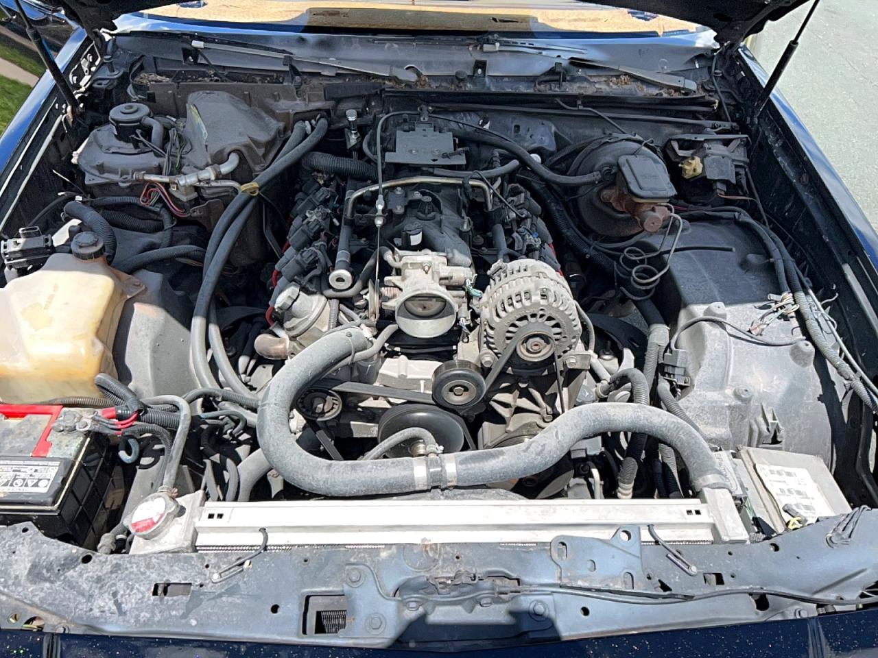 1981 Buick Regal V/8-ls Motor Black vin: 1G4AJ47A0BG120538