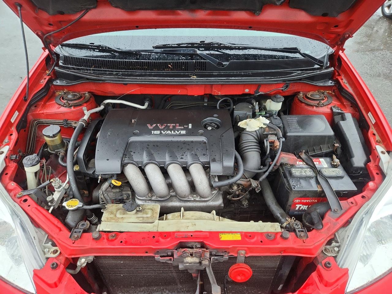 2003 Toyota Corolla Matrix Xrs Red vin: 2T1KY32E03C121388