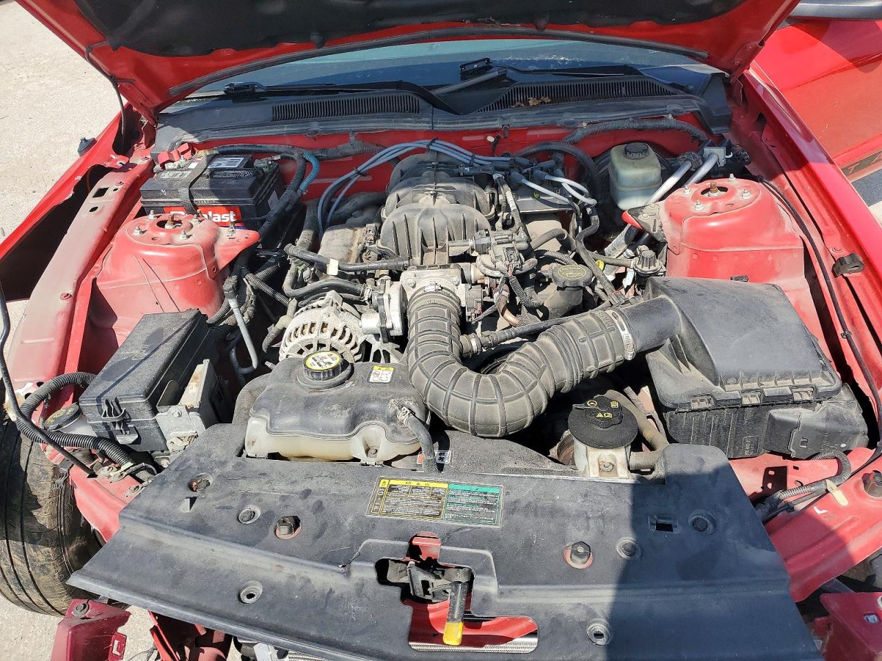 2006 Ford Mustang Red vin: 1ZVFT80N265117194