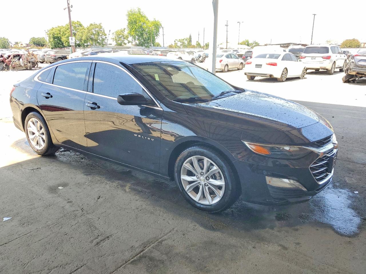 2019 Chevrolet Malibu Lt Black vin: 1G1ZD5ST9KF159060