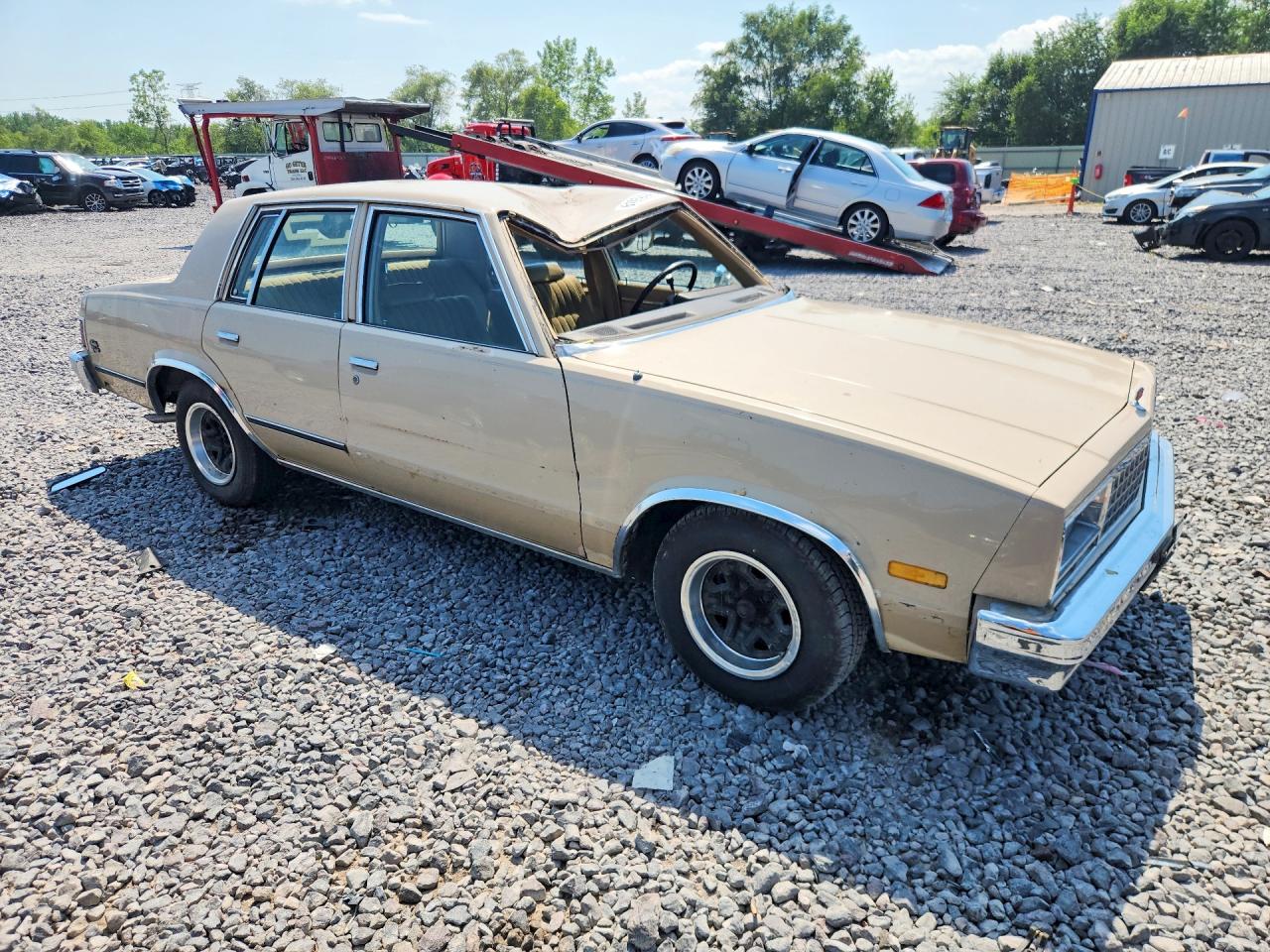 1982 Chevrolet Malibu Classic Бежевый vin: 1G1AW69K8CB175379