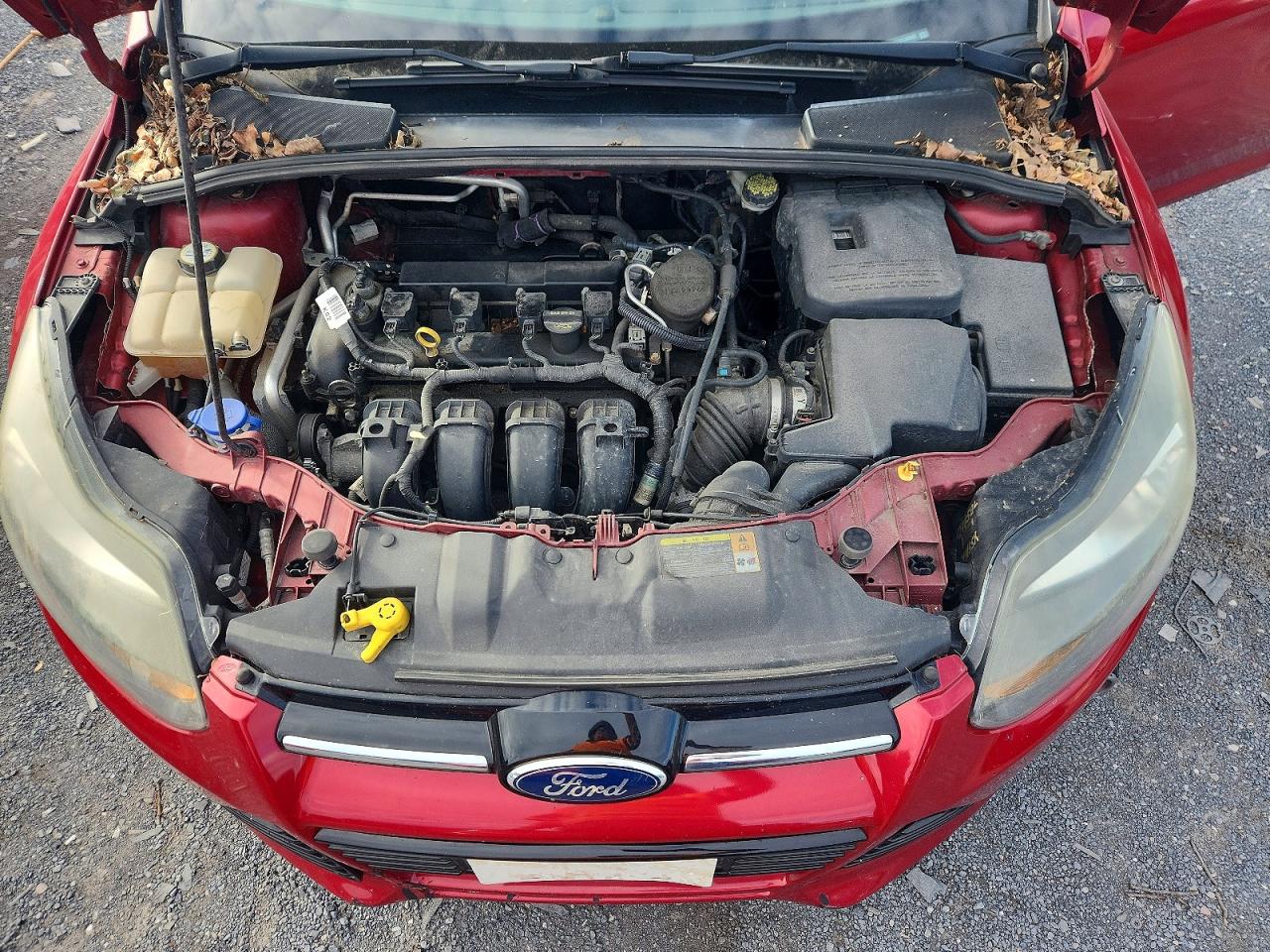 2012 Ford Focus Titanium Red vin: 1FAHP3N29CL308982