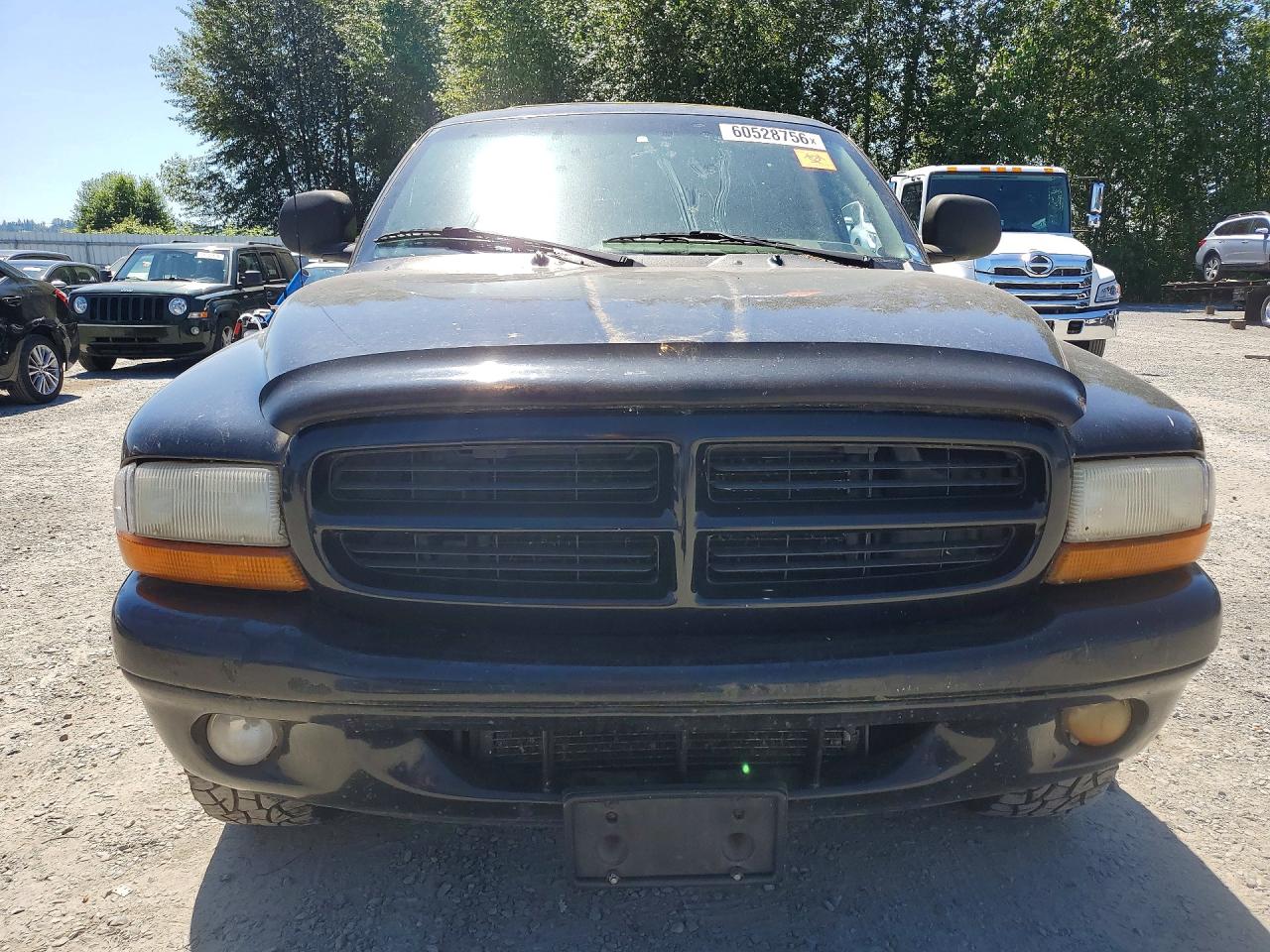 1999 Dodge Durango Black vin: 1B4HS28Z1XF687442
