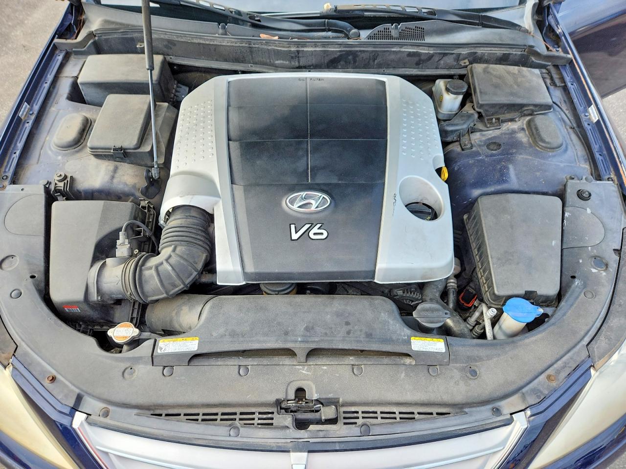 2010 Hyundai Genesis 3.8l Blue vin: KMHGC4DE8AU080060