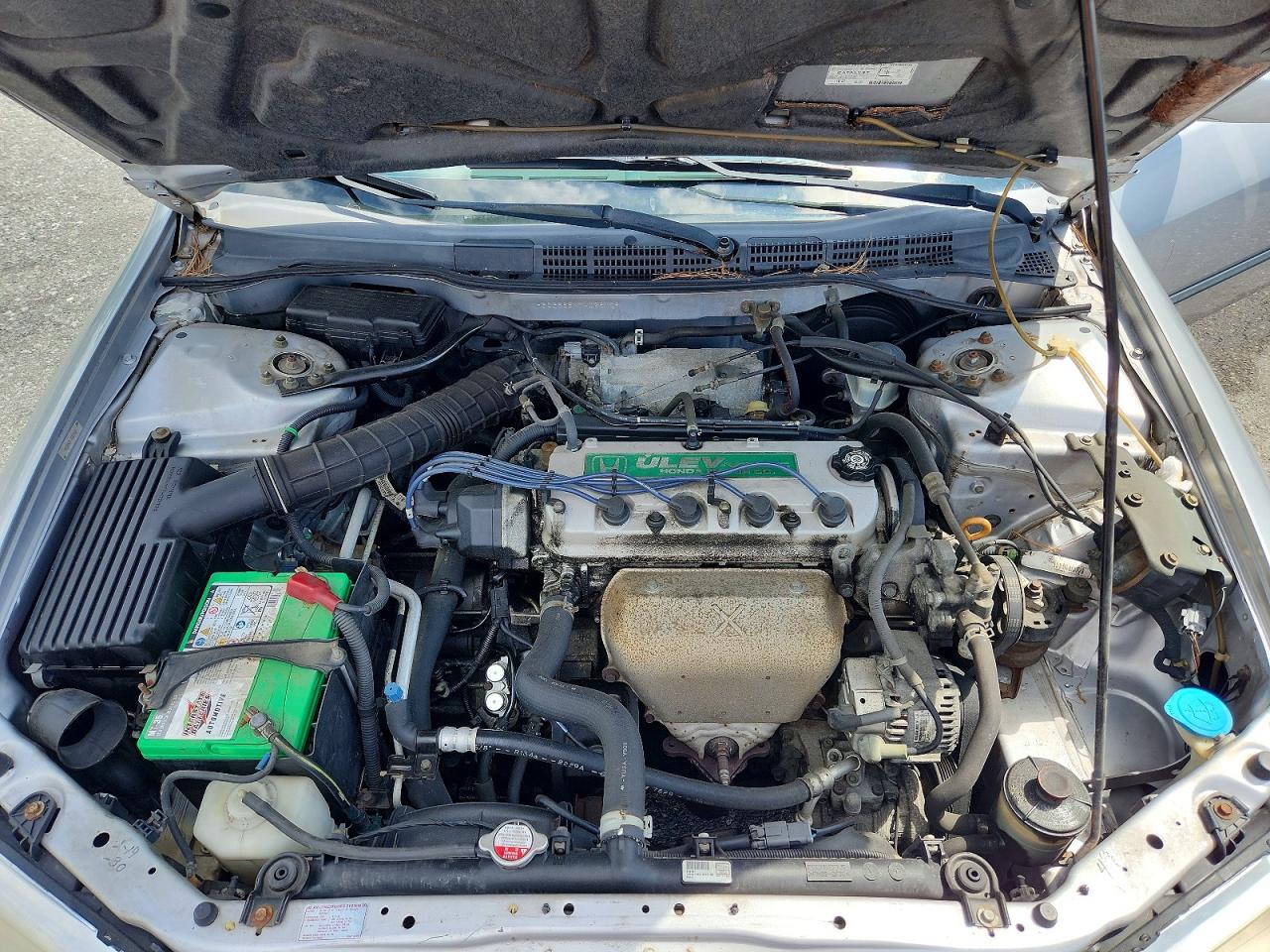 2000 Honda Accord Lx Серый vin: 1HGCG665XYA026109