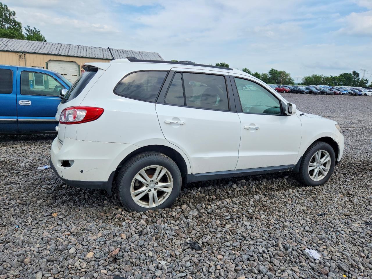 2011 Hyundai Santa Fe Limited Белый vin: 5XYZKDAG3BG026318