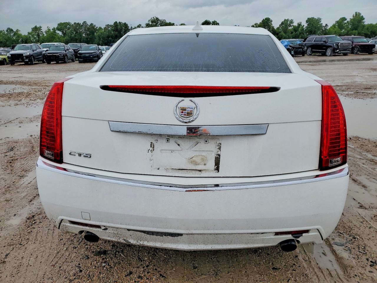 2010 Cadillac Cts Luxury Collection White vin: 1G6DE5EG0A0149731