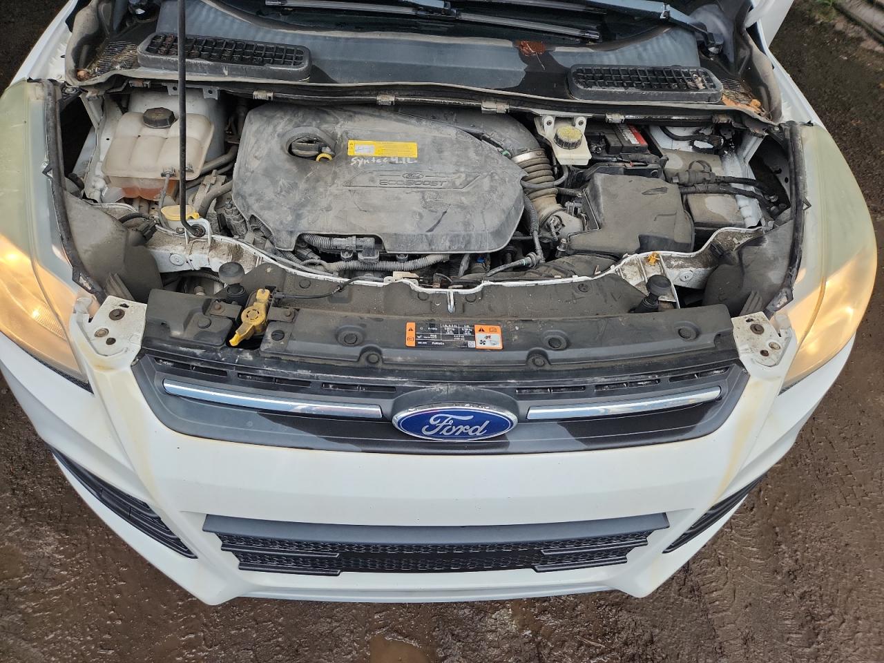 2015 Ford Escape Se White vin: 1FMCU9GX2FUB51539 Damage: Left Head Lamp, Faded, Repair Required