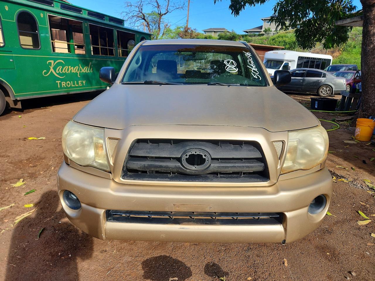 2006 Toyota Tacoma Base Желто-коричневый vin: 5TEPX42N96Z207005
